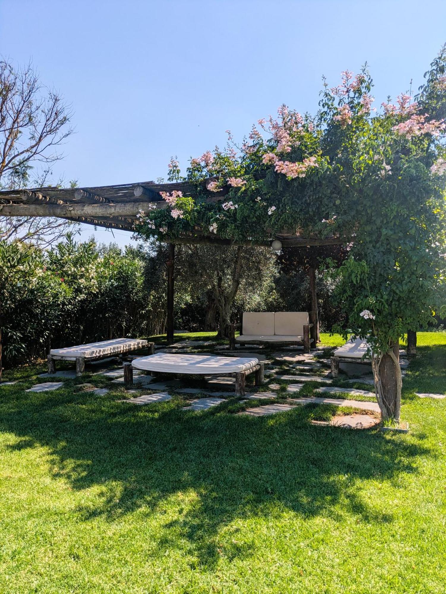Casas De Juromenha Konuk evi Dış mekan fotoğraf